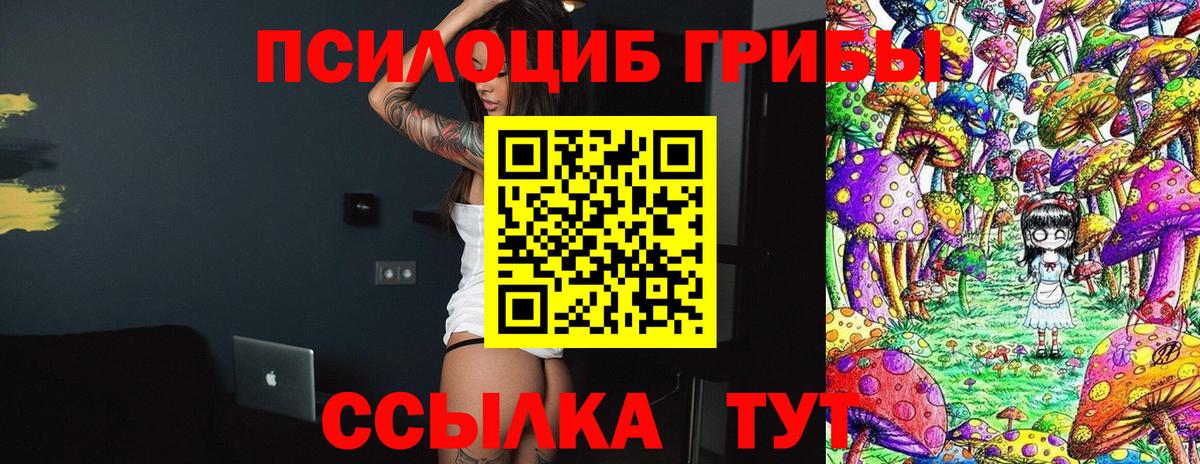 Галлюциногенные грибы Psilocybine cubensis Саров