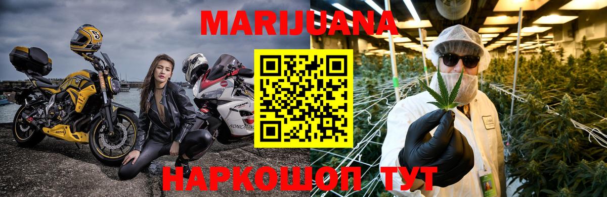 Бошки Шишки план Саров